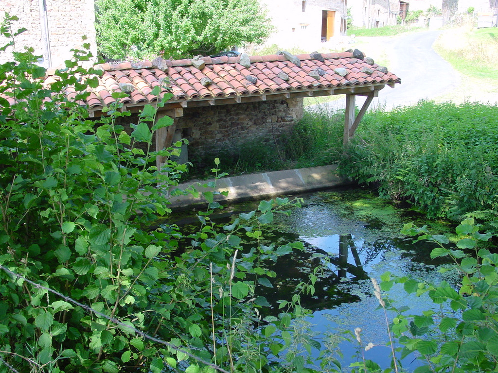 etang_14849.jpg